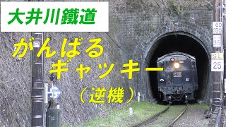 がんばるギャッキー！ 大井川鐵道（逆機運転で頑張る！）　2023年2月・3月