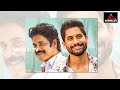 akkineni nagarjuna shocking comments on naga chaitanya samantha divorce movie updates mirror tv