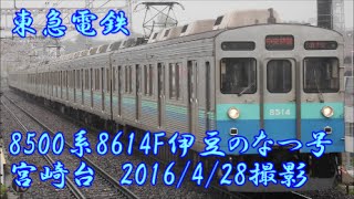 ＜東急電鉄＞8500系8614F伊豆のなつ号 宮崎台　2016/4/28撮影