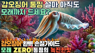 [4K] 갑오징어 완벽 손질 아직도 통찜 모래까지 씹어드세요??이젠 부위별로 즐겨요!!