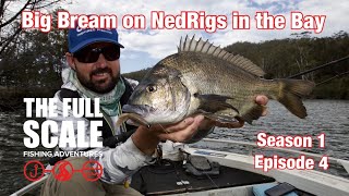 Big Bream on Nedrigs | The Full Scale