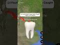 😱I Found So Weird Huge Tooth On Google Earth 😨! #shorts #worldsecretplace07