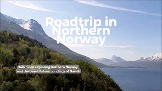 Explore Northern Norway And Narvik's Beautiful Surroundings