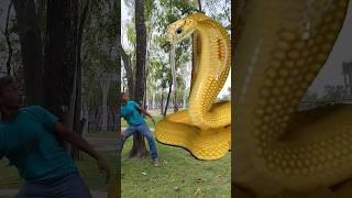 Anaconda Snake in real life P53#shorts#snake #python #snakes #nagin#anaconda #bigsnake #viralVideo