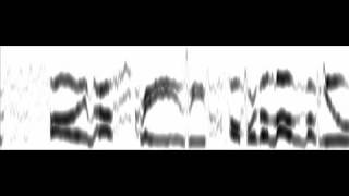 sinespeech.wmv