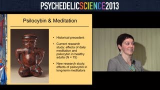 What Can Buddhist Meditation Teach Us About Psychedelic Science? - Katherine MacLean