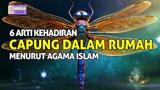 HATI HATI !! 6 ARTI TANDA CAPUNG MASUK RUMAH KITA MENURUT ISLAM