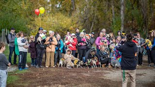 Pug-o-ween 2024 in Kelowna BC