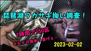 2023-02-02   琵琶湖 ワカサギ掬い 調査！