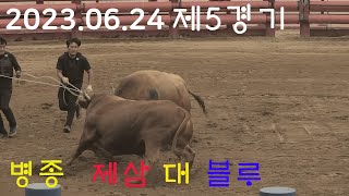 청도소싸움 2023.06.24 제5경기  병종  제삼 / 블루