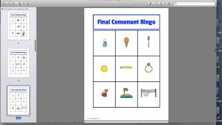 Video Product Preview: Final Consonant Bingo