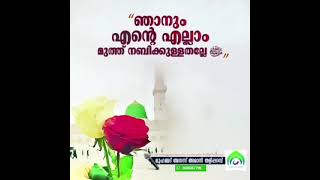 അബൂബക്കർ സിദ്ധീഖ് (റ) || anas amani usthad || malayalam islamic speech