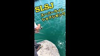 【SLSJ】漁港でスーパーライトショアジギングした結果！#shorts