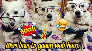 Meri biwi to gaon wali hai | Dog funny talking | Annie the girl