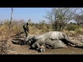 Botswana gets first test results on elephant deaths