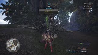 【MHW】エンシェント･レーシェン 全武器種ソロ制覇 弓編 37'38''83（依頼：森の精霊 Ver.6.01 Ancient Leshen Bow solo）