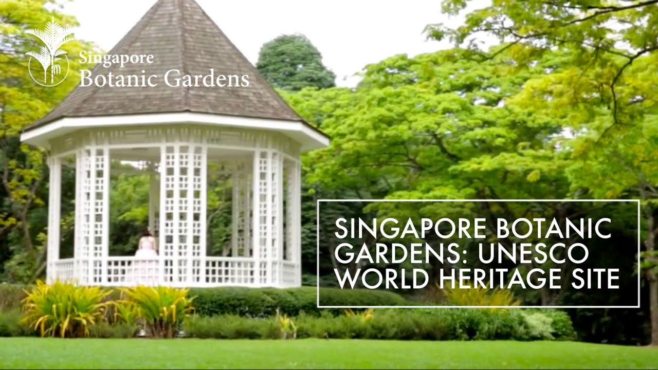 Singapore Botanic Gardens Unesco World Heritage Site Youtube