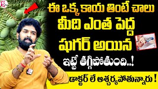 ఈ ఒక్క కాయ తింటే ఎంత పెద్ద షుగర్ అయిన ఇట్టే తగ్గిపోతుంది..! | Vikram Aditya #sugar #diabetes #helth