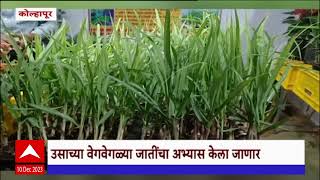 Warna Krishi Mahotsav : कोल्हापुरात वारणा कृषी महोत्सवाचं आयोजन, महोत्सवाचं यंदा 14वं वर्ष