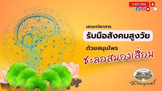 ภูมิปัญญาพื้นบ้านและสมุนไพรบำรุงสมอง l เสวนาวิชาการ2566 (EP3/8)