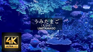 大分マリーンパレス水族館「うみたまご」