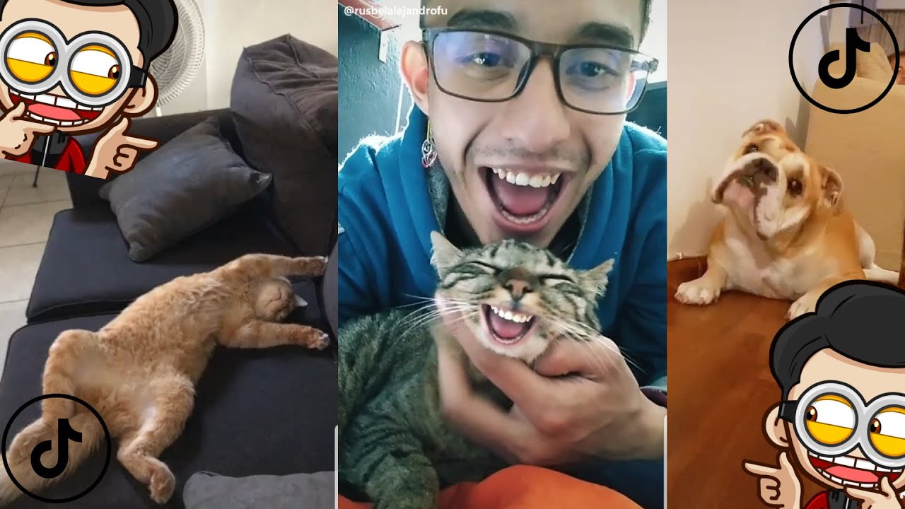 TIK TOK DE LOS ANIMALES MAS CHISTOSOS Y HERMOSOS DEL 2020!!! PARTE 1 ...