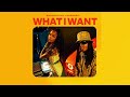 enchanting what i want feat. jacquees clean