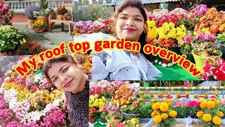 फूलों से भरा मेरा बगीचा | My beautiful rooftop terrace garden overview. garden overview.guldaudi.