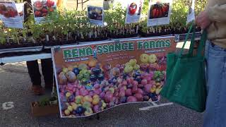Wide Selection Of Heirloom Tomatoes At The Farmers Market