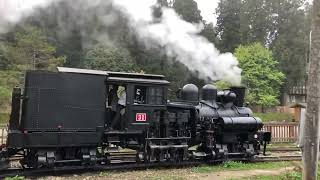 台灣鐵道- 阿里山森林鐵道 LIMA蒸汽火車頭 Mt.Ali Forest Railway - 神木車站出發