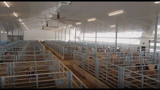 Semex - Frey Building Contractors - Completed Project - February 2023