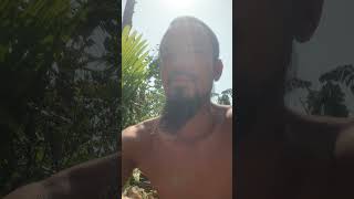 Cuộc sống ven đô