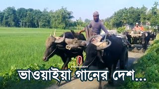 জনপ্রিয় রংপুরের হাড়িভাঙ্গা আম  || Rangpur District