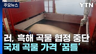 [더뉴스] 러, 우크라행 화물선 위협에 곡물 가격 '꿈틀' / YTN