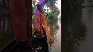 #fishing  വല നിറയെ മീൻ | vala veesal