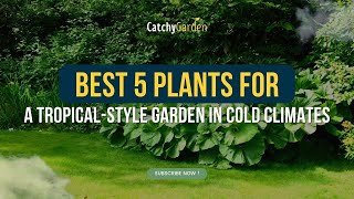 Best 5 Plants For A Tropical Style Garden In Cold Climates 🌿🌷🌱