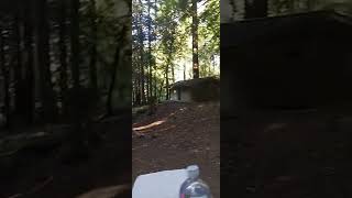 Camping Redwoods Saratoga Sanborn