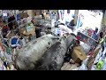 astonishing moment two cows completely trash store in colombia