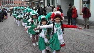 Hasensteig Zweibrücker Faschingsumzug 2013