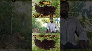 🐝🐝 9/1000 தேனீக்களும் தாவரங்களும்  #shorts #senganthalorganics #agriculture #தேனீக்கள் #தேன் #trees