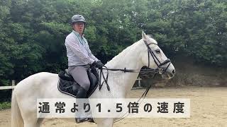 お悩み解決「速歩での誘導の仕方」エルミオーレ豊田　吉川インストラクター＆アルストロメリア