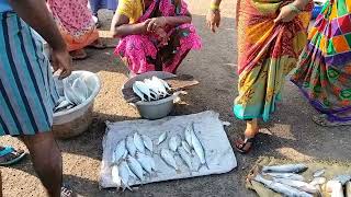 Nagoor meen market 🐟🐠🦐🦀🦞