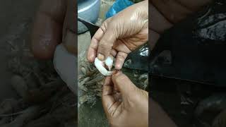 இறால் சுத்தம் செய்வது எப்படி? / prawns clean  / how to clean prawns