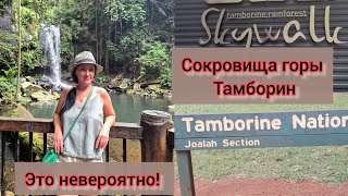 Cокровища горы Тамборин . А у нас есть и получше. Живу в Австралии. #жизньвавстралии #австралия