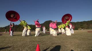 希望ヶ丘ふれあい祭り２０１９【花びより～あかさたな～】②