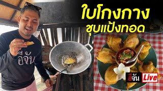 Live ใบโกงกาง ชุบแป้งทอด คลองลัดโนดระนอง | อีจัน EJAN