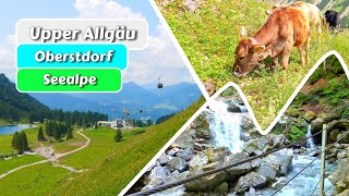 The Alps! - Virtual Workout Scenery from Oberstdorf along Faltenbachtobel to the Seealpe