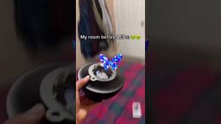 Room Transfoorm Daily Led Lights