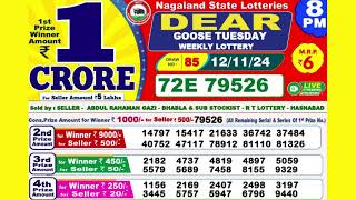 DEAR GOOSE TUESDAY WEEKLY LOTTERY TODAY RESULT 8 PM 12/11/24#latest lottery result