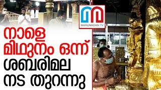 മിഥുനമാസ പൂജകള്‍ക്കായി ശബരിമല നട തുറന്നു | Sabarimala